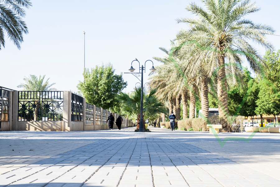 حديقة وممشى المنصورة