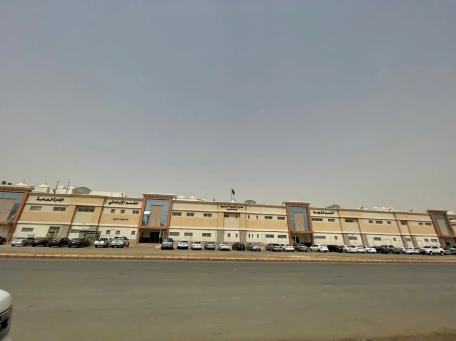 حي طويق