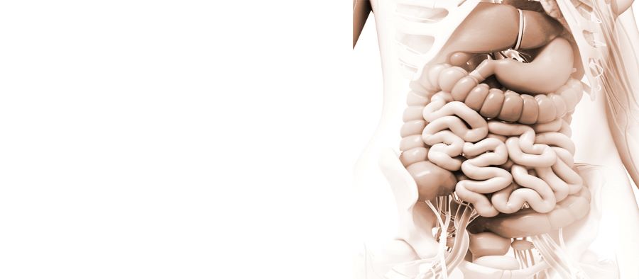 دكتور علي زيدان