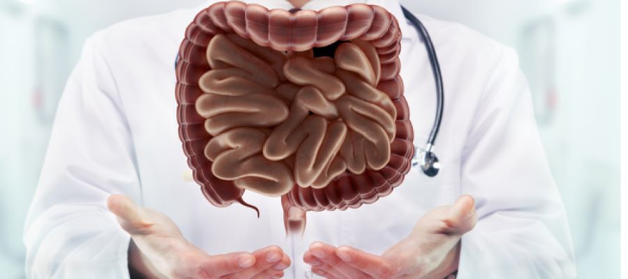  دكتور محمود عبد العزيز