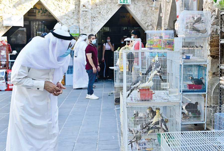 دليل أقسام سوق الطيور في جدة