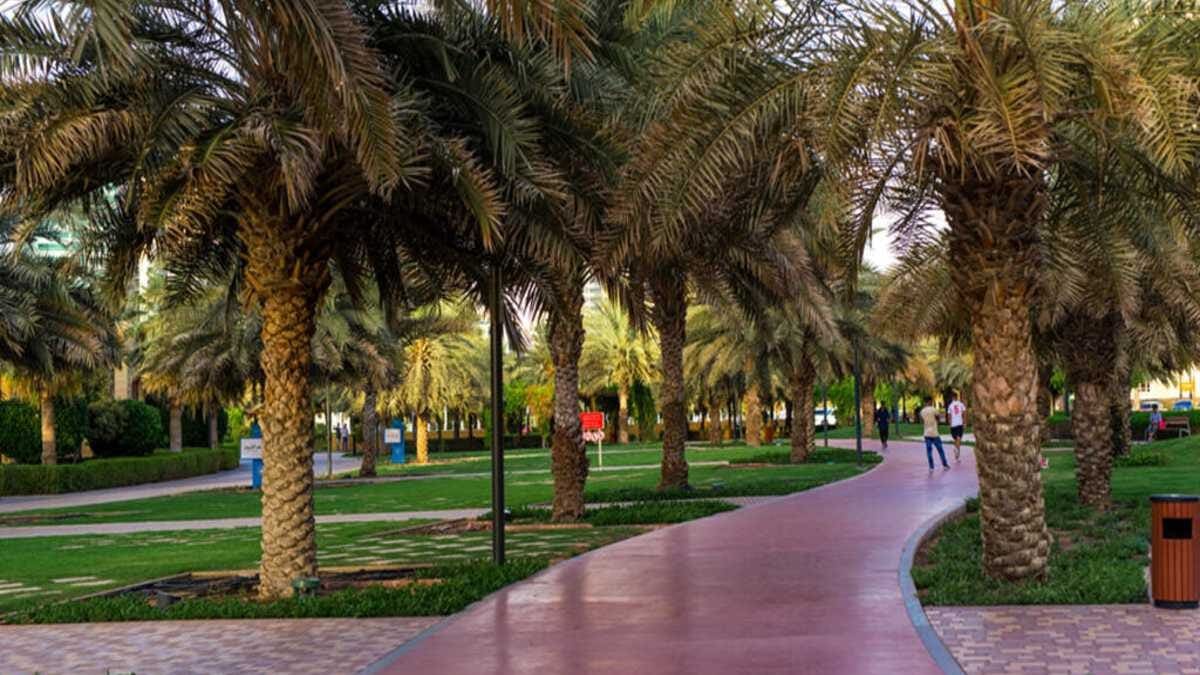 رحلة استكشاف وتجول