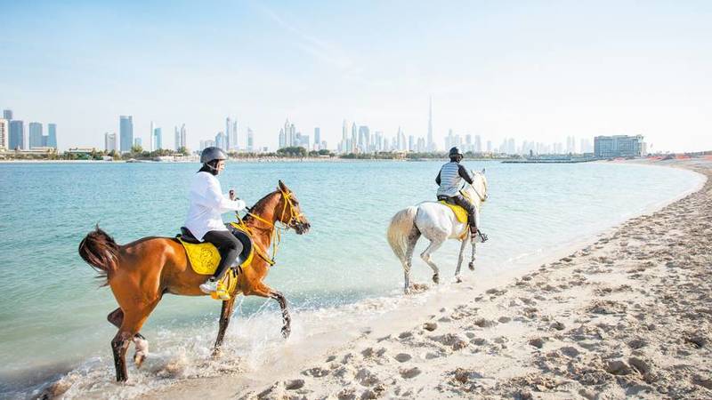 ركوب الخيل