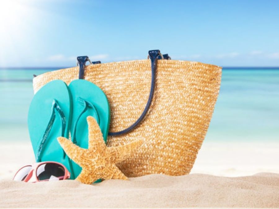 شاطئ المانجروف