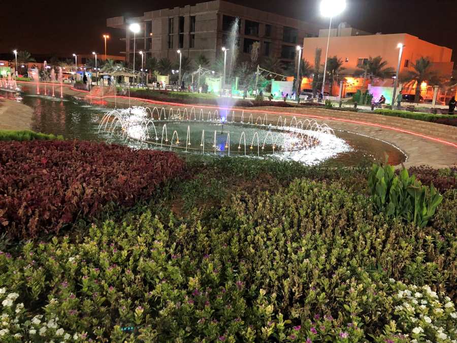 مشاهدة النافورة الراقصة والاستمتاع بإطعام القطط الأليفة