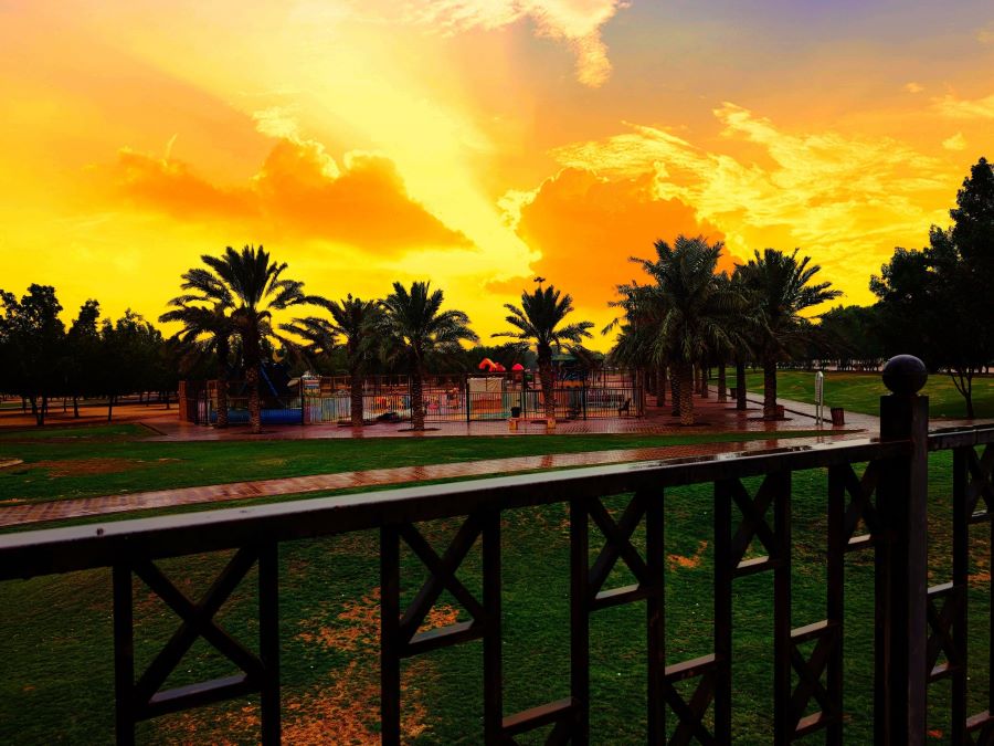 منتزه الروضة