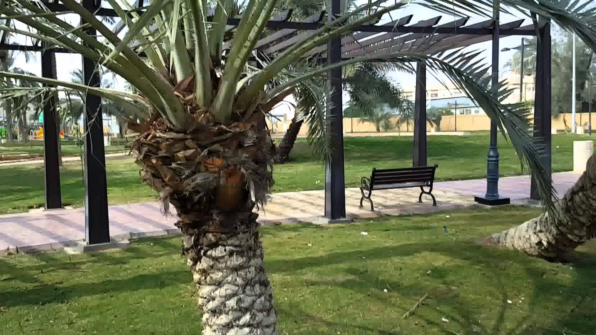 منتزه الوادي الرياض