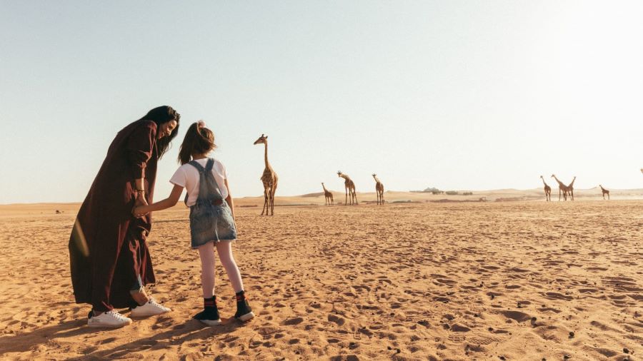 مواعيد انطلاق سفاري نوفا الرياض