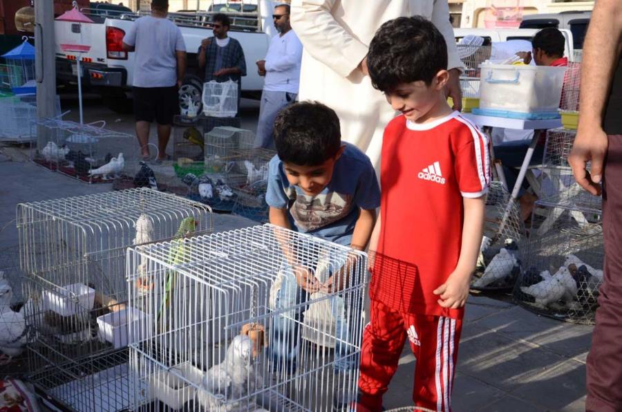 موقع سوق الطيور بالرياض