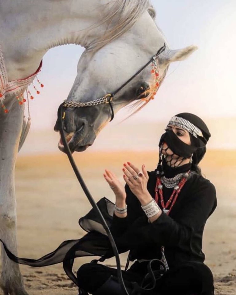 نادي الجزيرة للفروسية