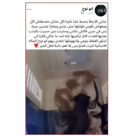 cat slaughterer
