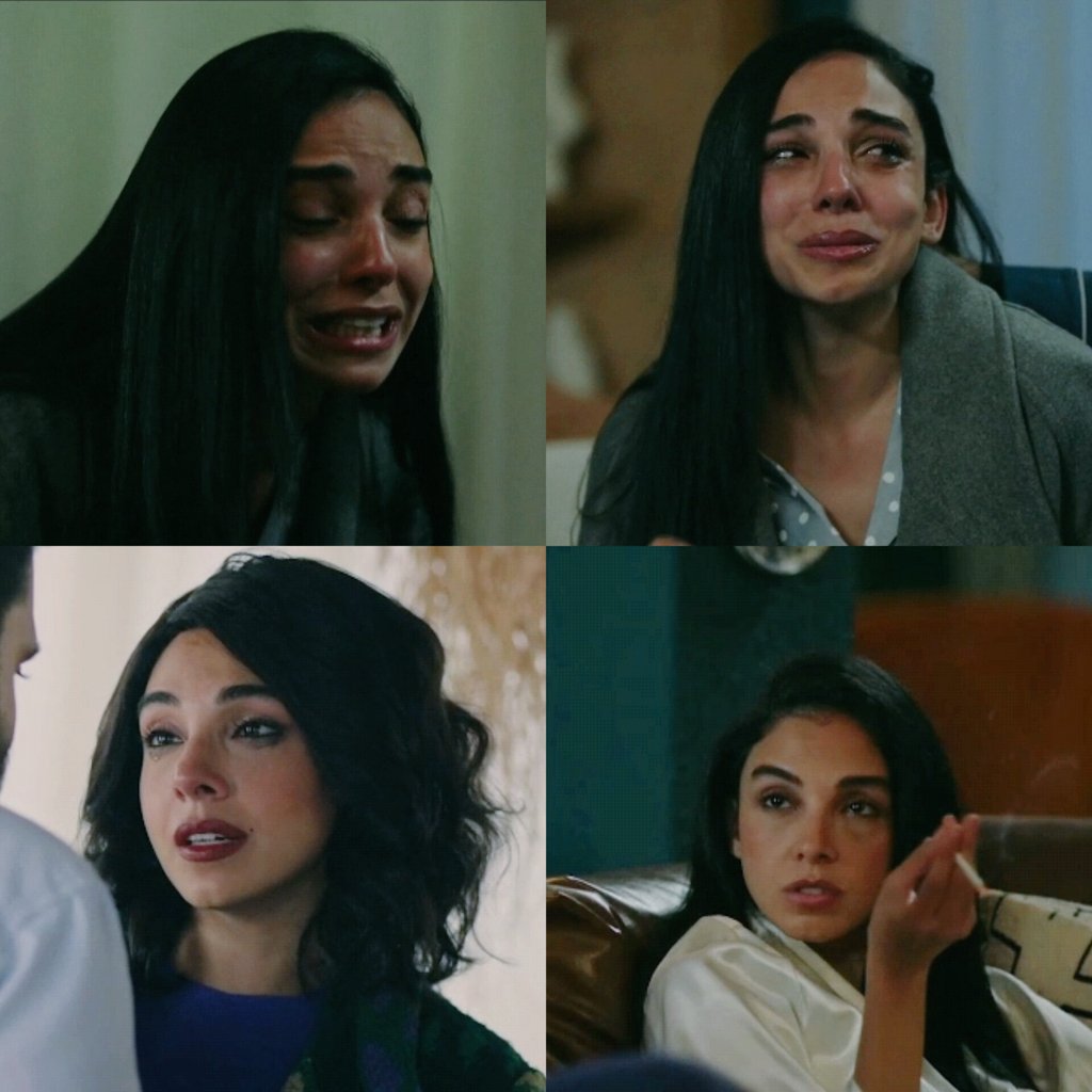 أعلى نسبة مشاهدة
