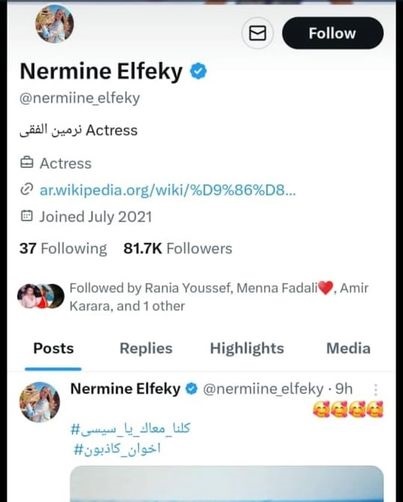 نرمين الفقي