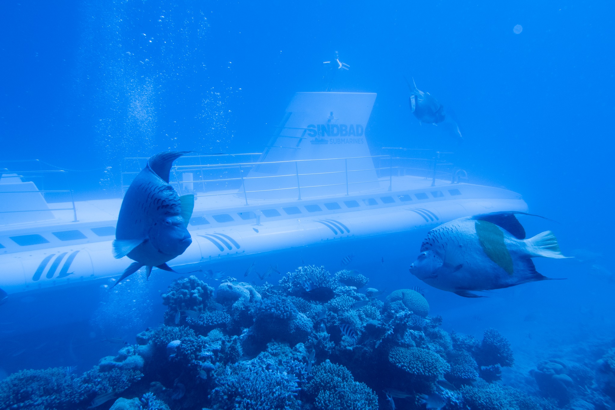 tourist submarine