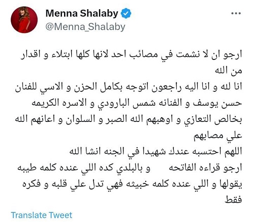 ابن حسن يوسف و شمس البارودي