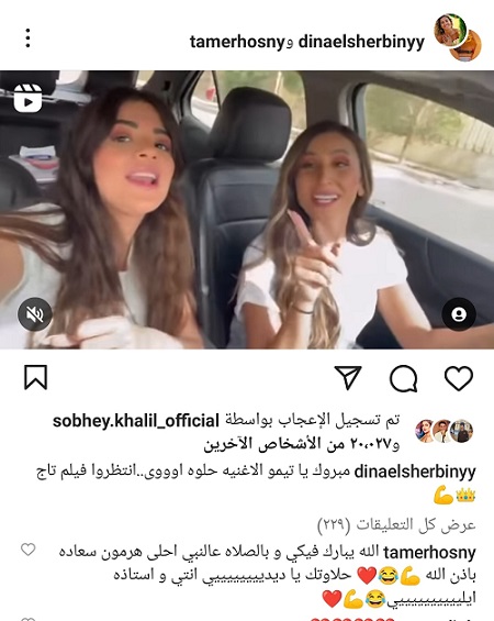 دينا الشربيني