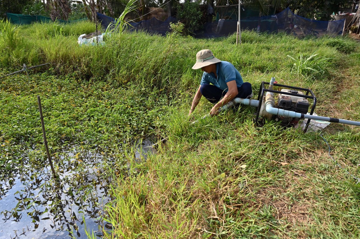 Vietnam farmers
