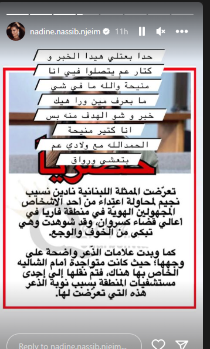 نادين نجيم