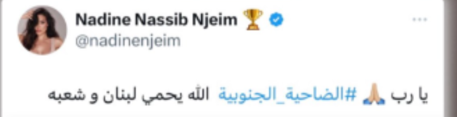 نادين نجيم