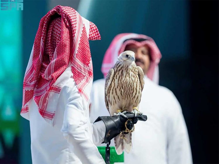 نادي الصقور السعودي