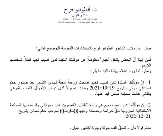 حضانة أبناء نادين نجيم