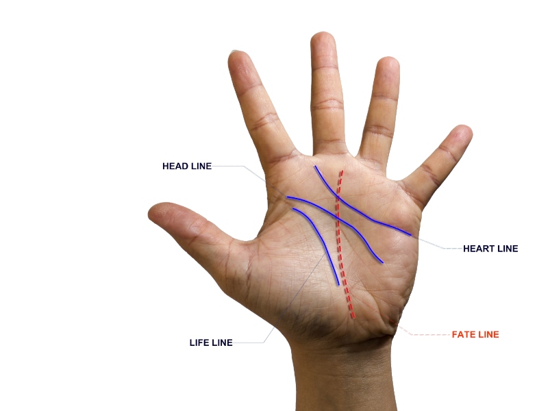 4 علامات تشير إلى أنك محظوظ حسب قراءة الكف