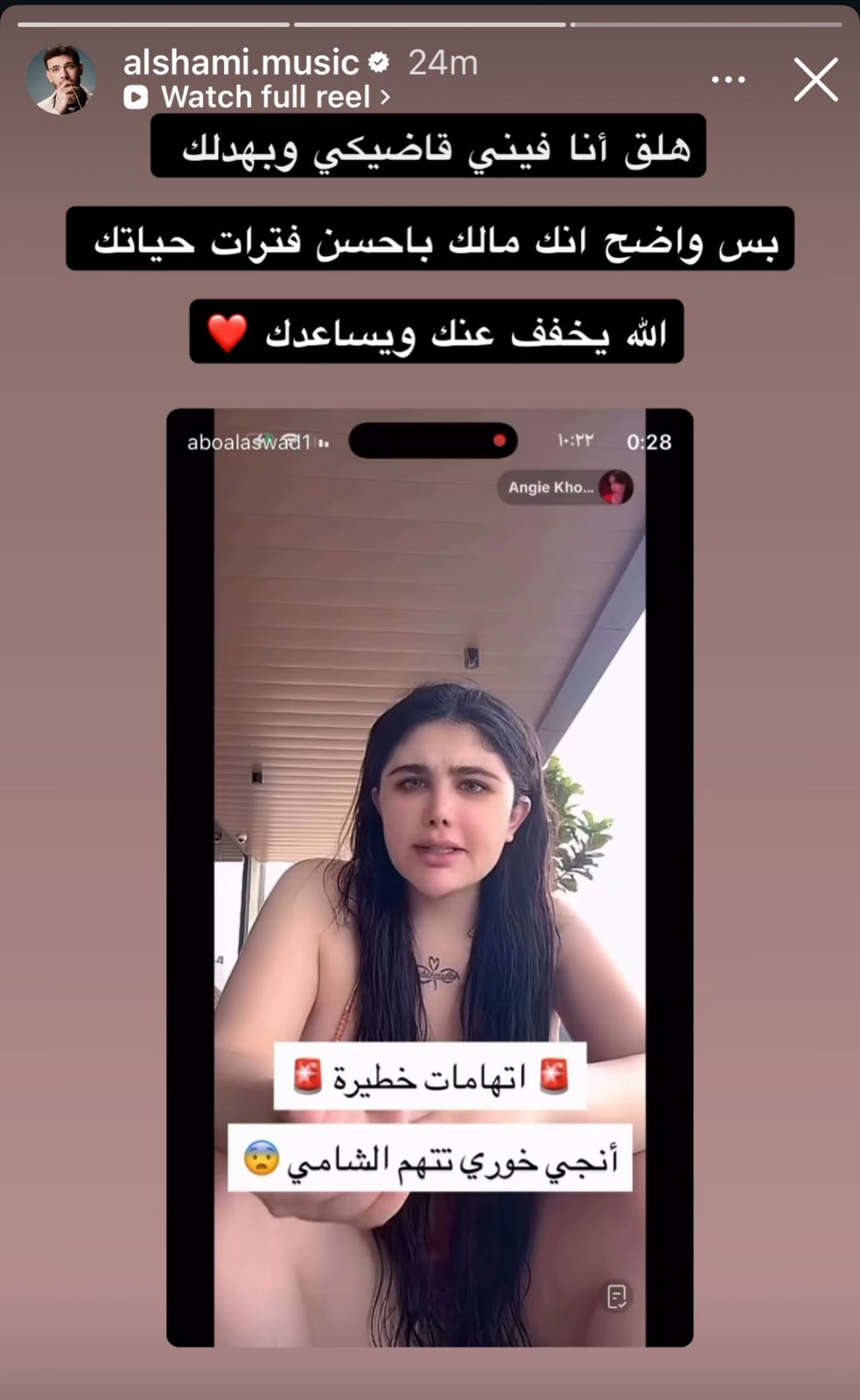 الشامي