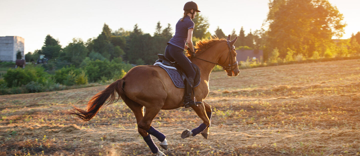 Winners Equestrian Club