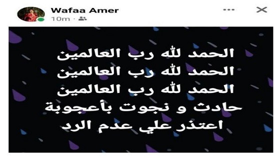 وفاء عامر