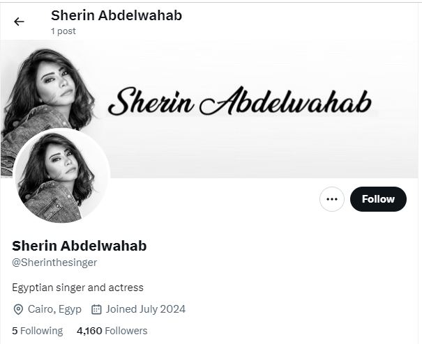Sherine Abdel Wahab