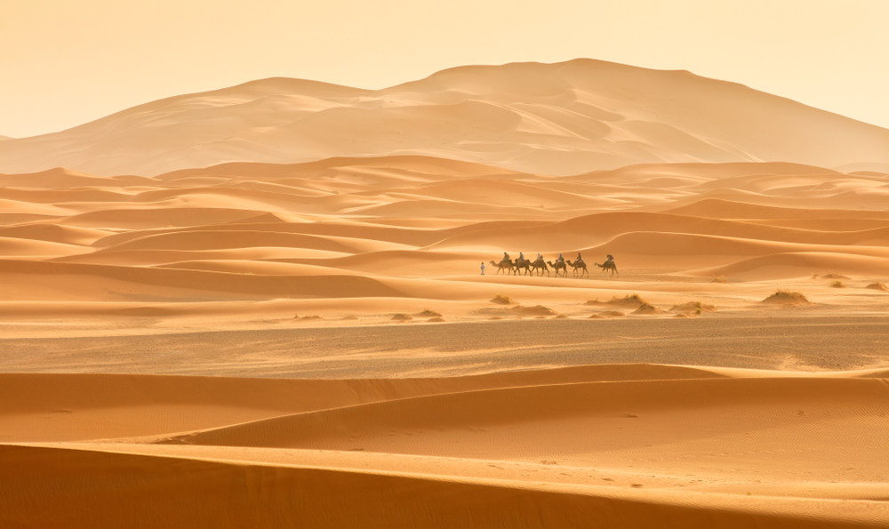 Sahara