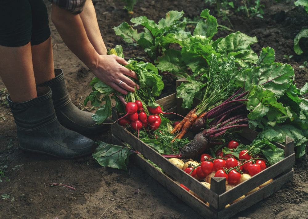 organic foods