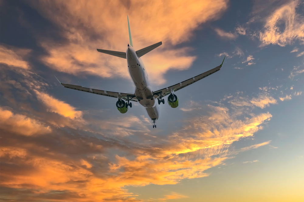 flight