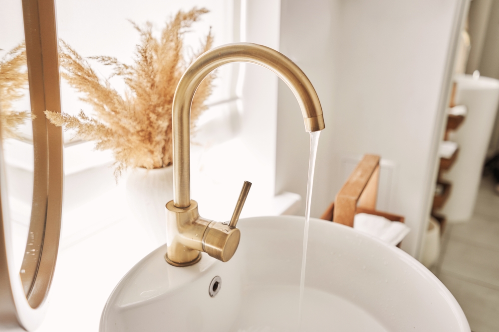 golden toilet