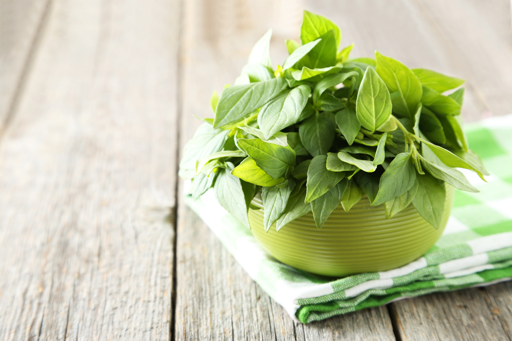basil leaves