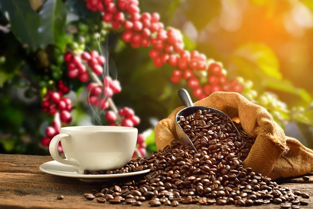 Arabic coffee