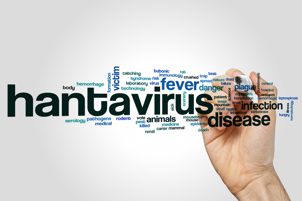 Hantavirus