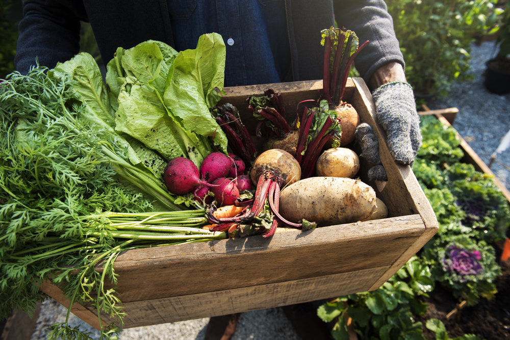 organic foods