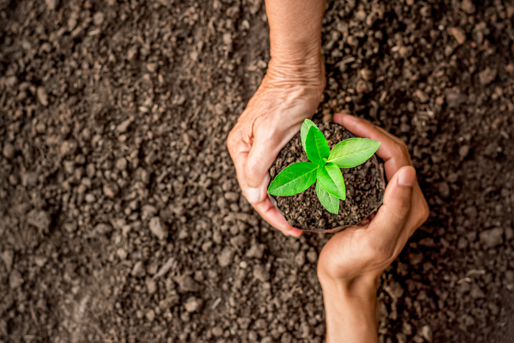 Carbon footprint