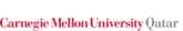 Carnegie Mellon University