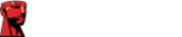Kingston Technology