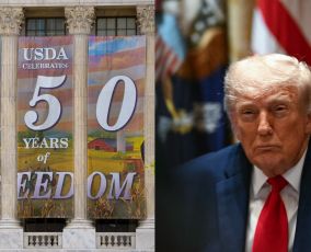 America 250