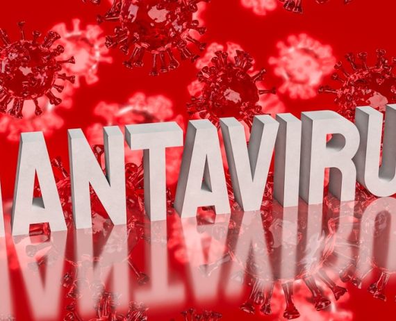 Hantavirus 