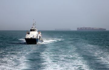 Ships in Hormuz 