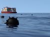 Strait of Hormuz