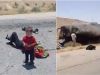 Syrian child
