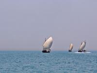 Pearl-diving trips are held annually under the patronage of the Kuwaiti emir in order to keep alive traditions that accompanied the once important national trade of pearl diving, prior to the discovery of oil. Yasser Al-Zayyat / AFP