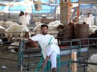 A vendor waits for customers at a livestock market in Kuwait City on August 5, 2019, ahead of the Muslim holiday of Eid al-Adha or the "Feast of Sacrifice" which marks the end of the annual pilgrimage or Hajj to the Saudi holy city of Mecca and is celebrated in remembrance of Abraham's readiness to sacrifice his son to God. Yasser Al-Zayyat / AFP