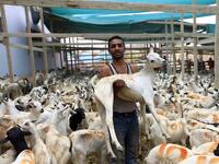 Yemeni men hold a goat at a livestock market in the capital Sanaa on August 6, 2019, as people buy provisions in preparation for the Eid al-Adha celebrations, known as the "big" festival. MOHAMMED HUWAIS / AFP