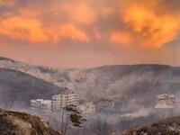 Sidon Fire Department and the Lebanese Army worked to put out the fire in the early hours of Monday, after it reportedly broke out at around 4:30 a.m. (Twitter)